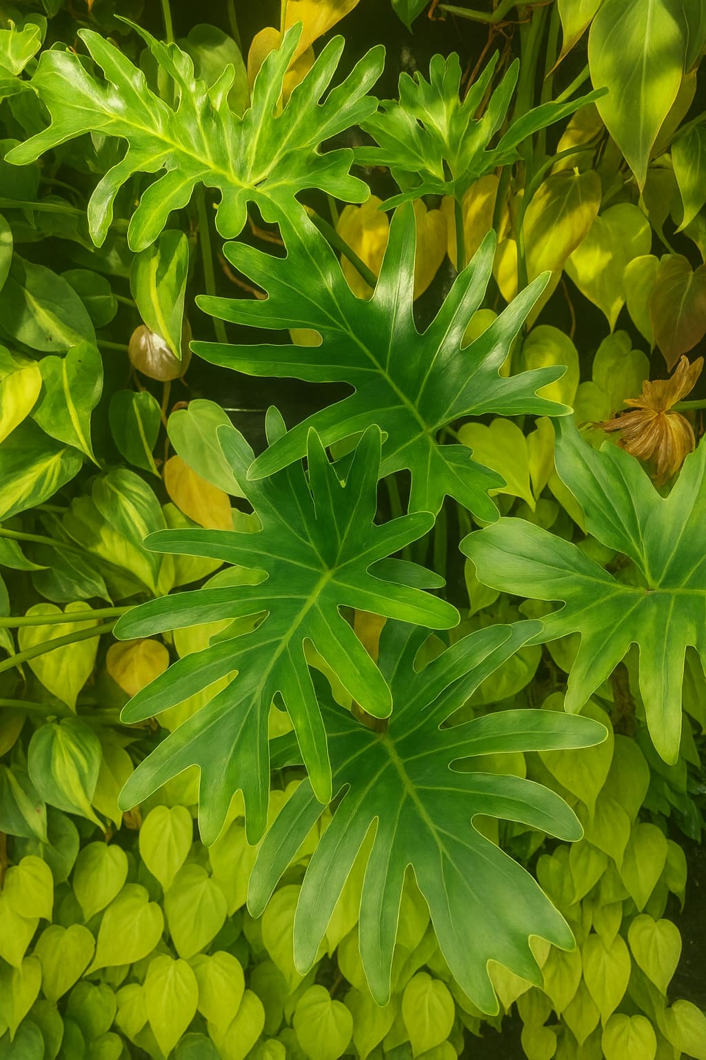 May Flowers Horticulture Installation 25